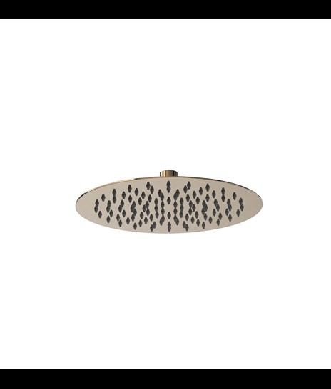 SHOWER HEAD 1994-1 » POLISHED GOLD