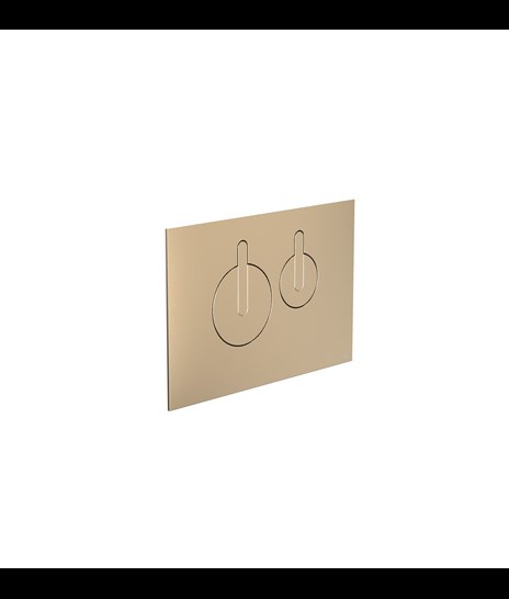 TOILET FLUSH BUTTON 1998 » BRUSHED GOLD