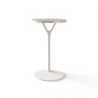 TABLE 1009 » FOREST GREEN / MATT WHITE