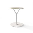 TABLE 1011 » FOREST GREEN/MATT WHITE
