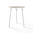 TABLE 1012 » FOREST GREEN/MATT WHITE