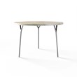 TABLE 1016 » FOREST GREEN/BRUSHED STAINLESS