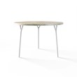 TABLE 1016 » FOREST GREEN/MATT WHITE