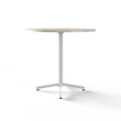TABLE 1029 » FOREST GREEN/MATT WHITE