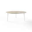 TISCH 1048 » FOREST GREEN/WEIß MATT