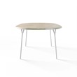 TABLE 1065 » FOREST GREEN / MATT WHITE