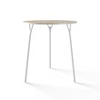 TABLE 1072 » FOREST GREEN/MATT WHITE